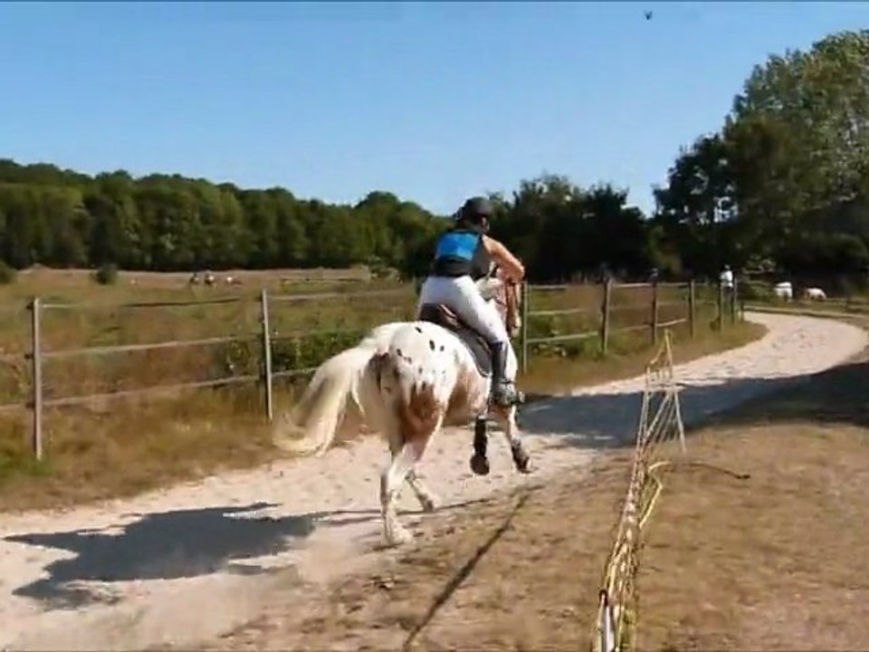 challenge PTV 9sept12 Ecurie du Moulin