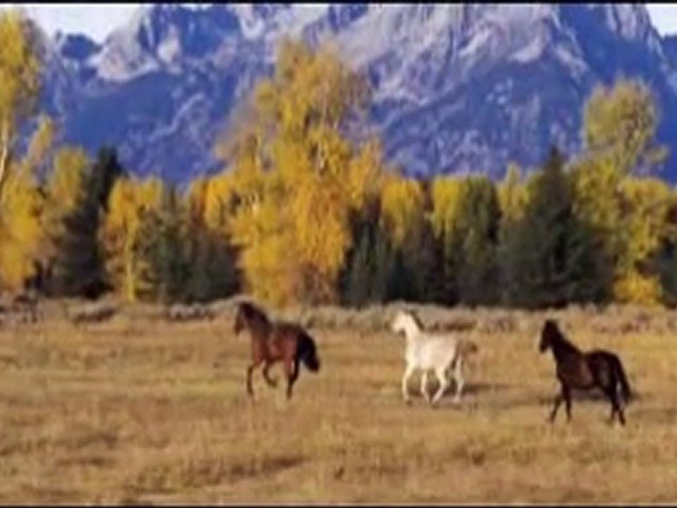 Don Wasyl Jedno jest niebo dla wszystkich