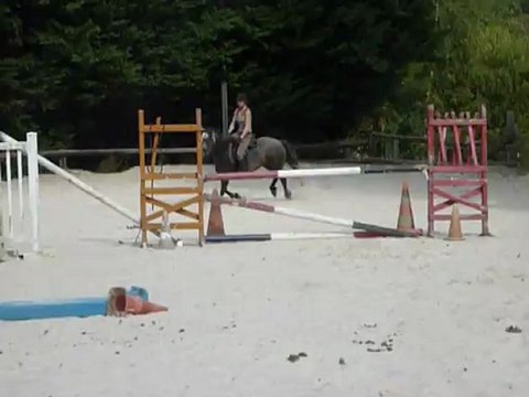 Tigana des Genêts, connemara par Diam's des Genêts