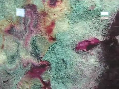 Expositions des artistes IN, Festival art contemporain 2012, Saint-Florent-sur-Auzonnet