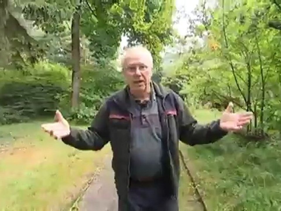 Hannoversch Münden - tres sugerencias | Destino Alemania