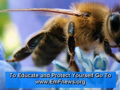 Cell Tower Health Risks (Radiation Meters) Cell Tower Health Risks