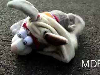 mdr - Orange