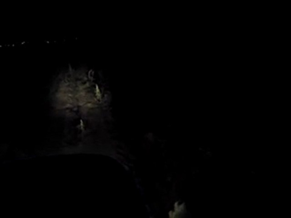 NH TL100A(Türkiye'Nin İlk Ayaklı Discotek'i) FASULYE YERİ AKTARIMINDA [GECE] [Part 3] [2012]...!!!