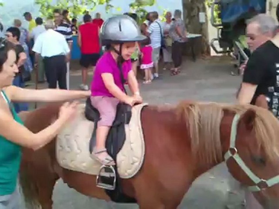 Poney