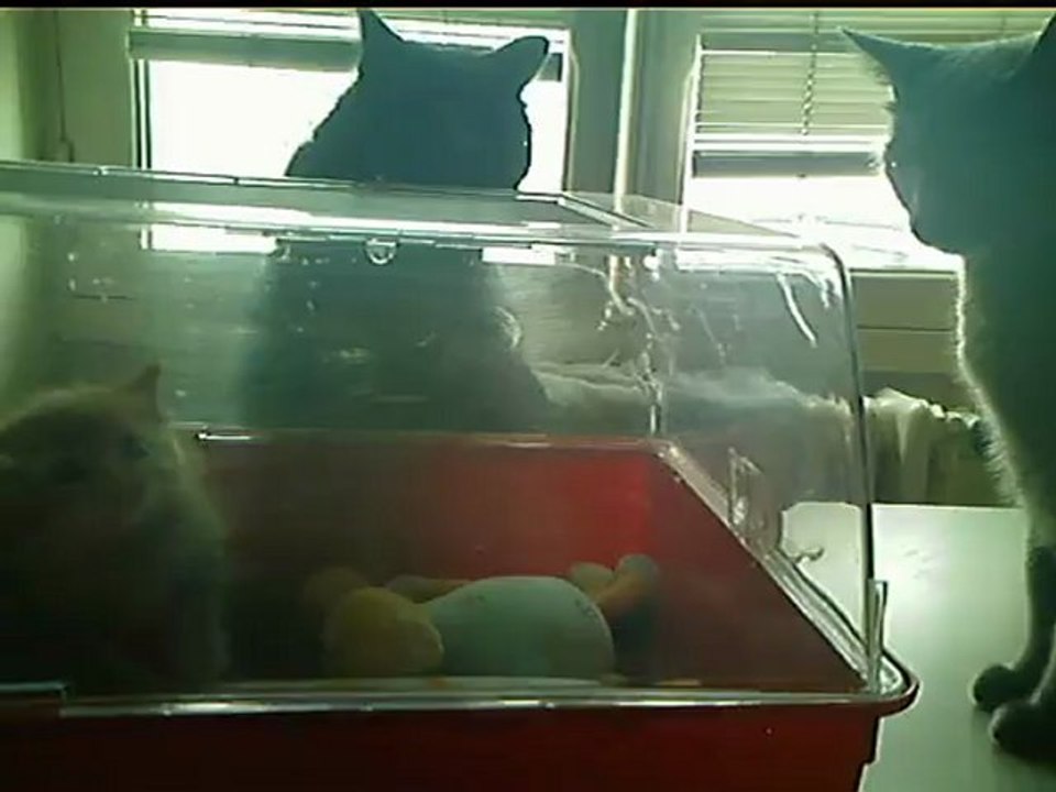 Milo rencontre Tara et Logan