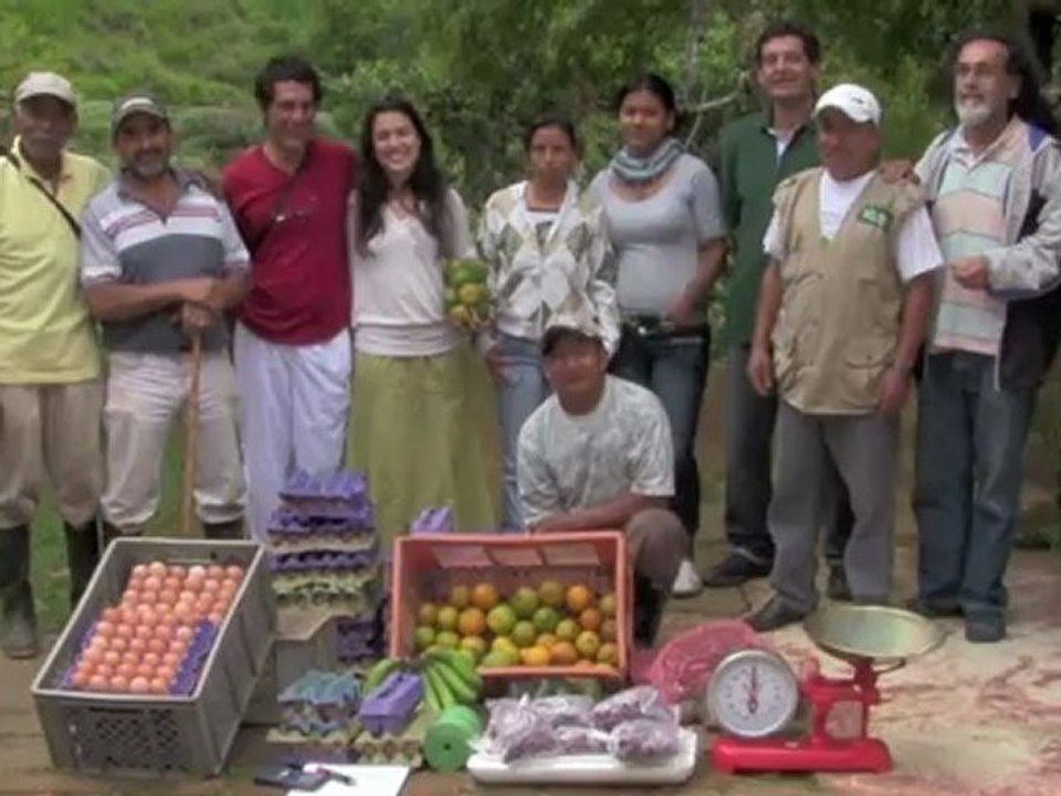fundacion acuarela clip