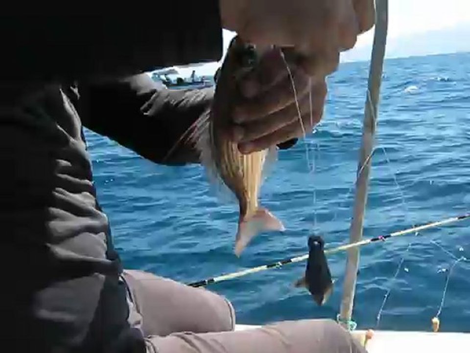 Çeşmealtı mercan avı