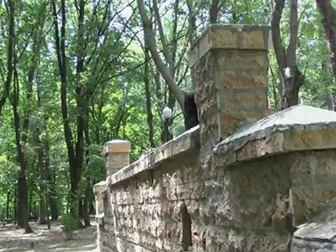 Filmari nunti Iasi hd Luxmariaj - videoclip nuta Iuliana si Gheorghe iulie 2012