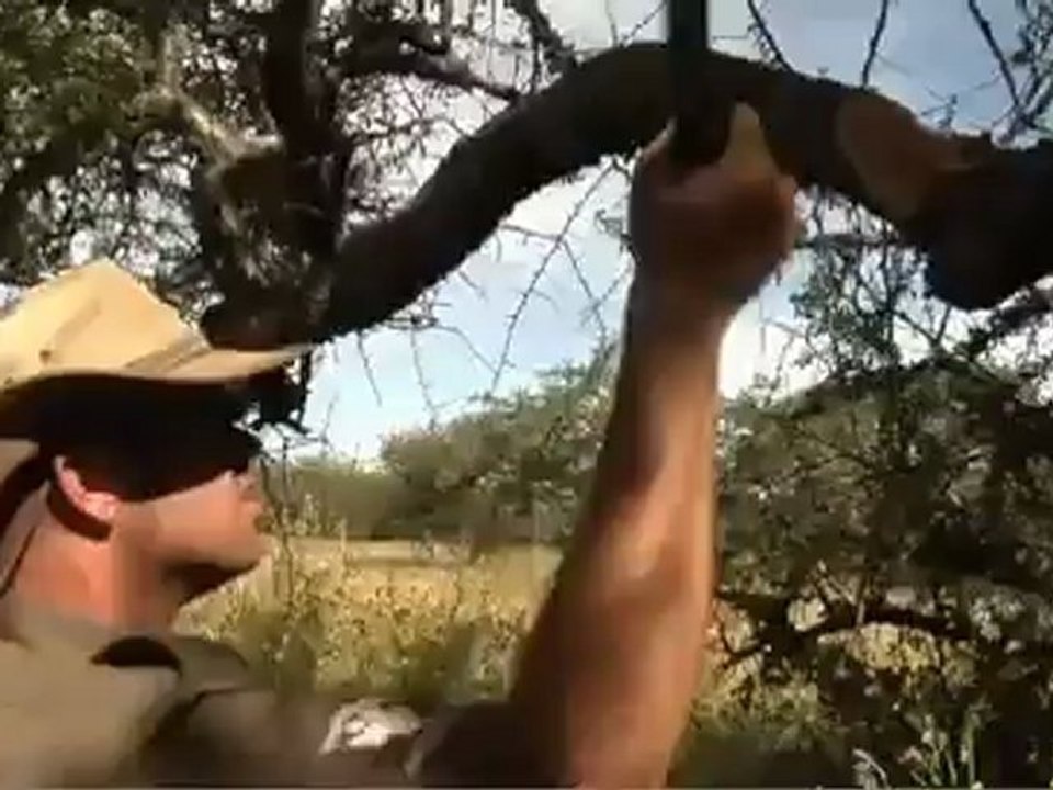 Cold Steel Sponsor of Friedkin Conservation Fund (FCF) Anti-Poaching