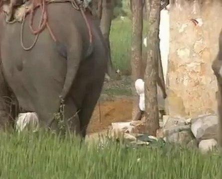 Времена и воины - Магадхская империя Воины на слонах