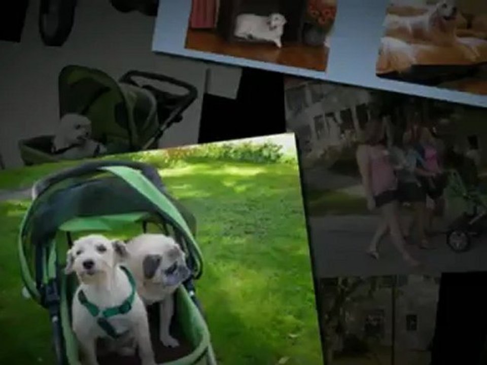 Dogger Stroller