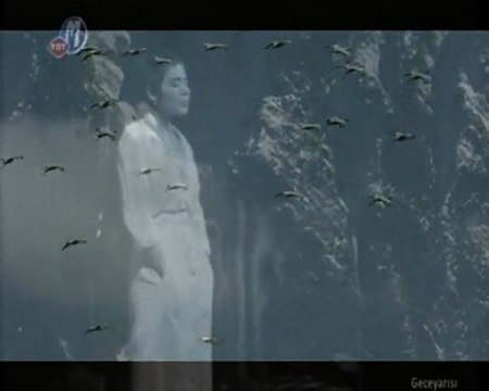 Banu kırbağ - anlatamıyorum -kolaj Serbülent öztürk