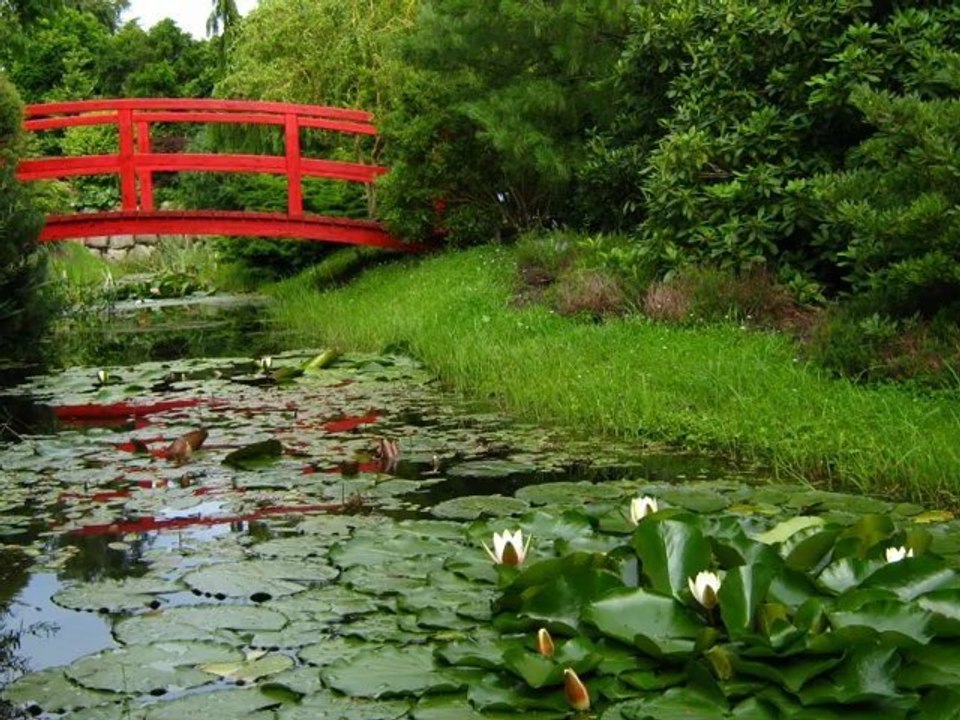 Ogrody tematyczne w Dobrzycy