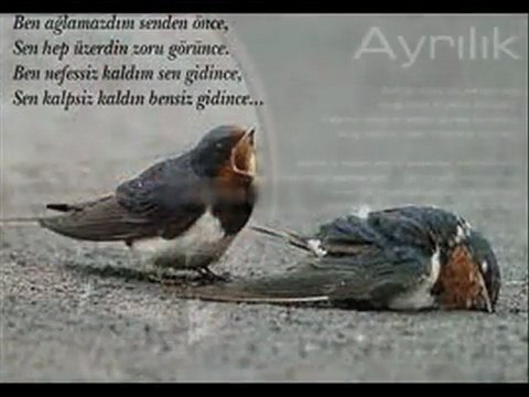 FUNDYY KoPaRDıLaR SeNi BeNDeN ''^^ SENSİZİM ^^''