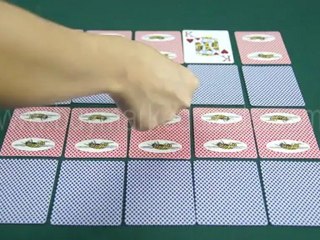 MARKED-DECK--BEE--marked-cards