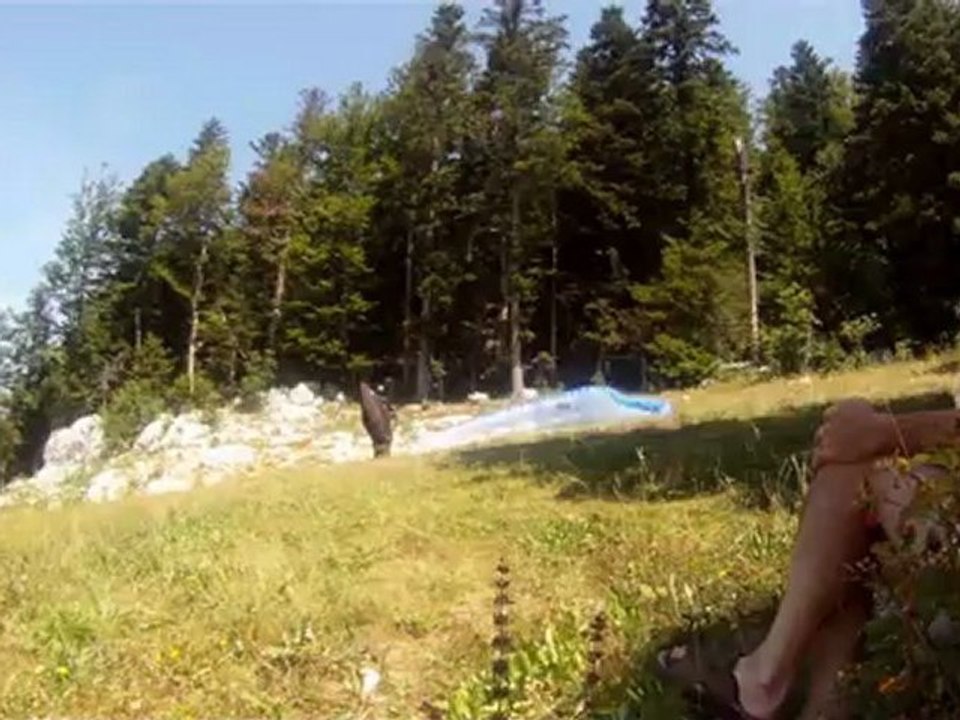 les cabres dans le vercors