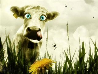 Dj Heribotes - Crazy cow dance