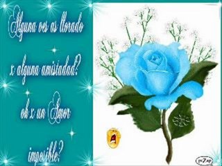 A PESAR DE TODO (CARLOS ROBERTO NORORI) (GRUPO MUSICAL NORORI´S)