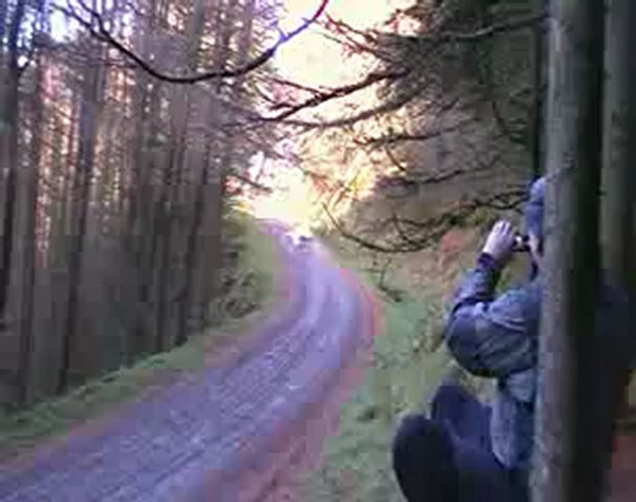 Watch Live WRC Wales Rally GB