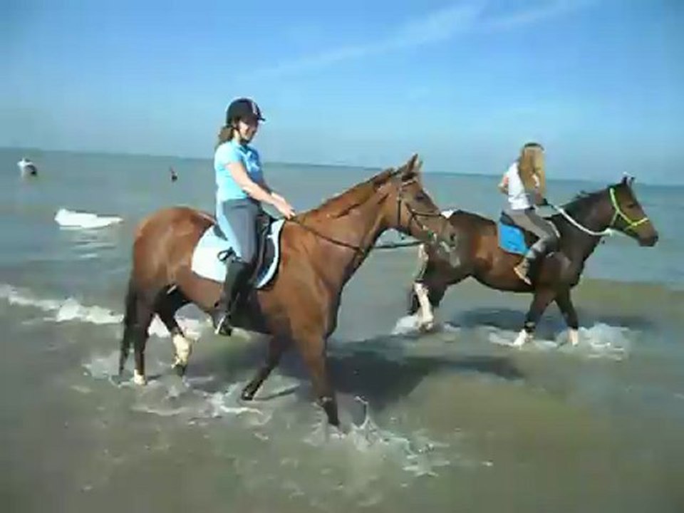 Dans l'eau de la mer