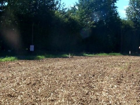 RALLYE DU PAYS D'AUGE 2012 ES1 BONNEBOSQ