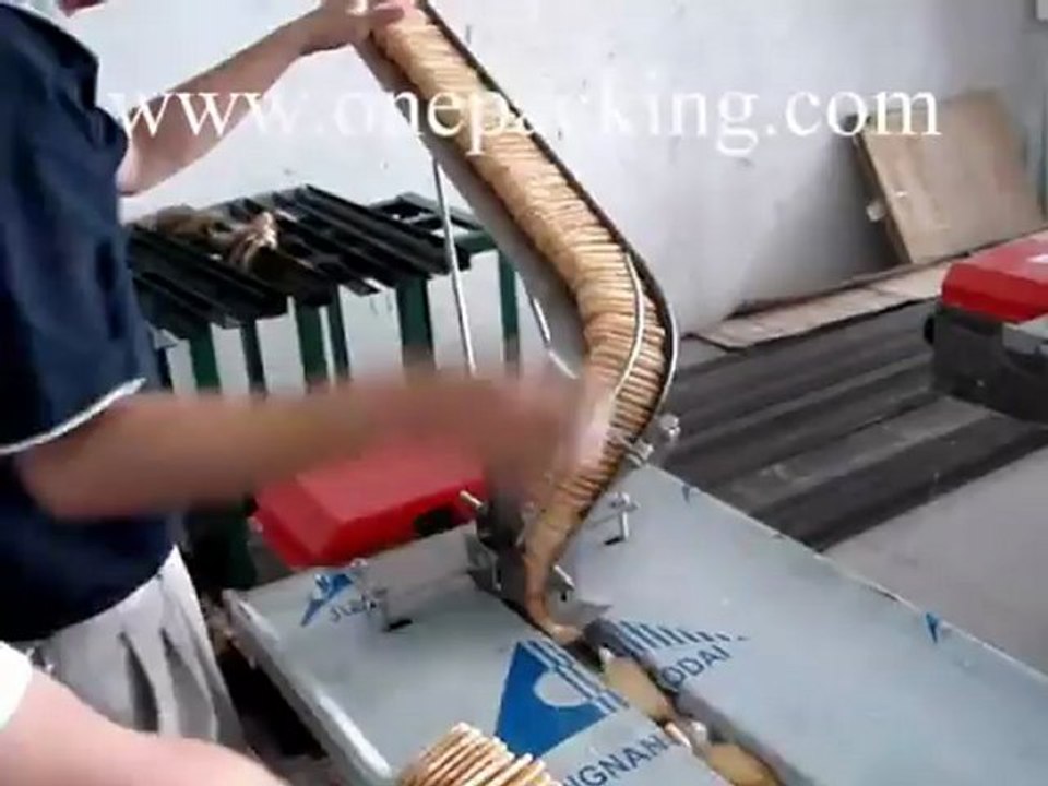 【biscuit packaging machine】【from coretamp machinery】