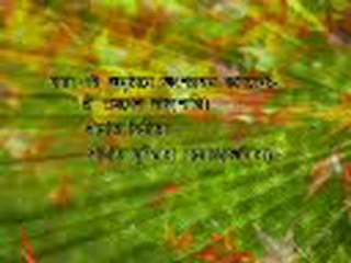 AMI DEKTE BHALOBASHI