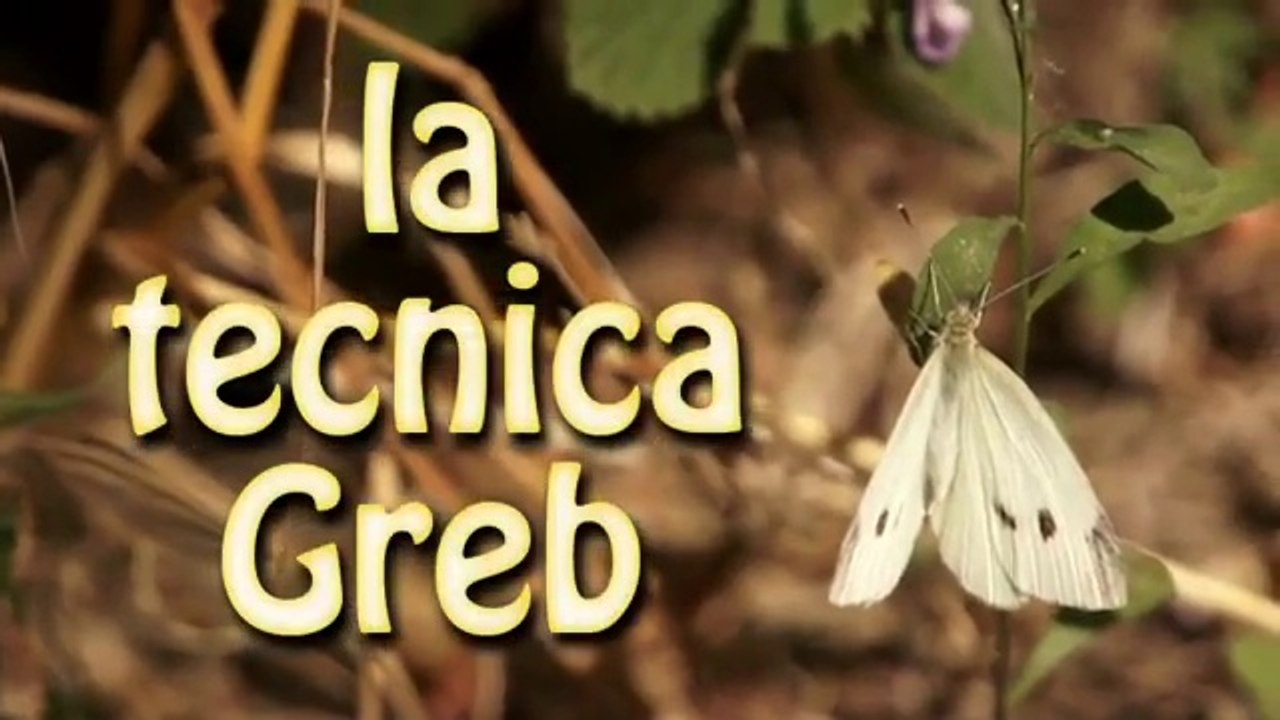 La Tecnica Greb - La technique du GREB 1/2
