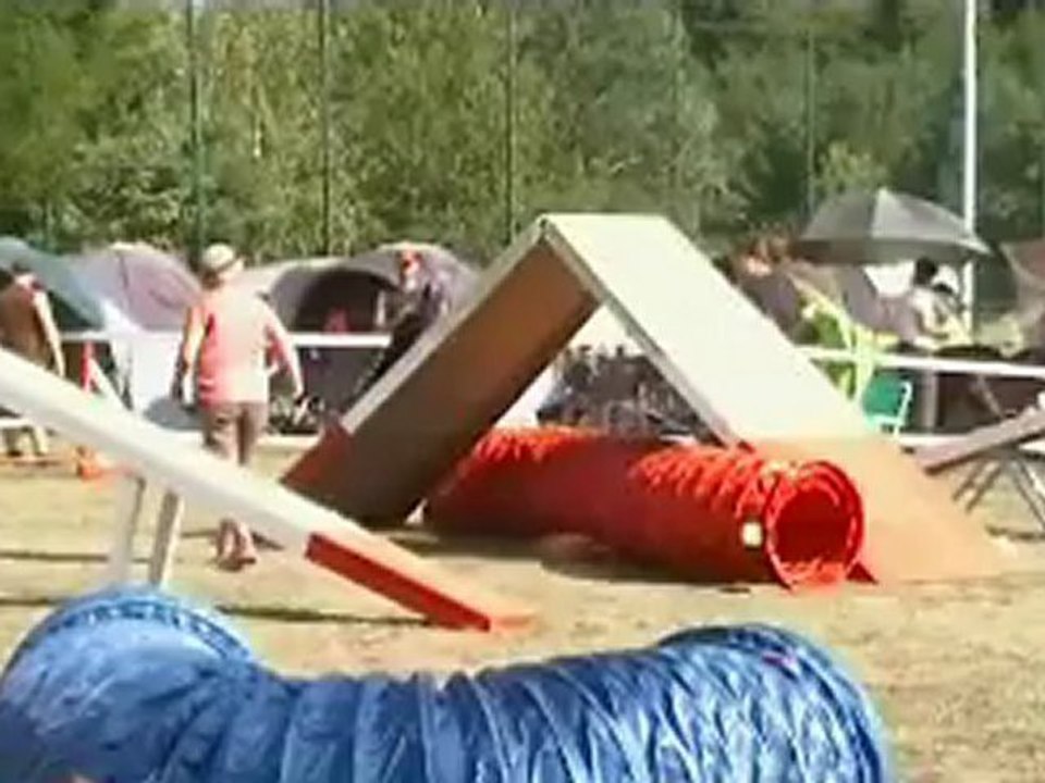 flip