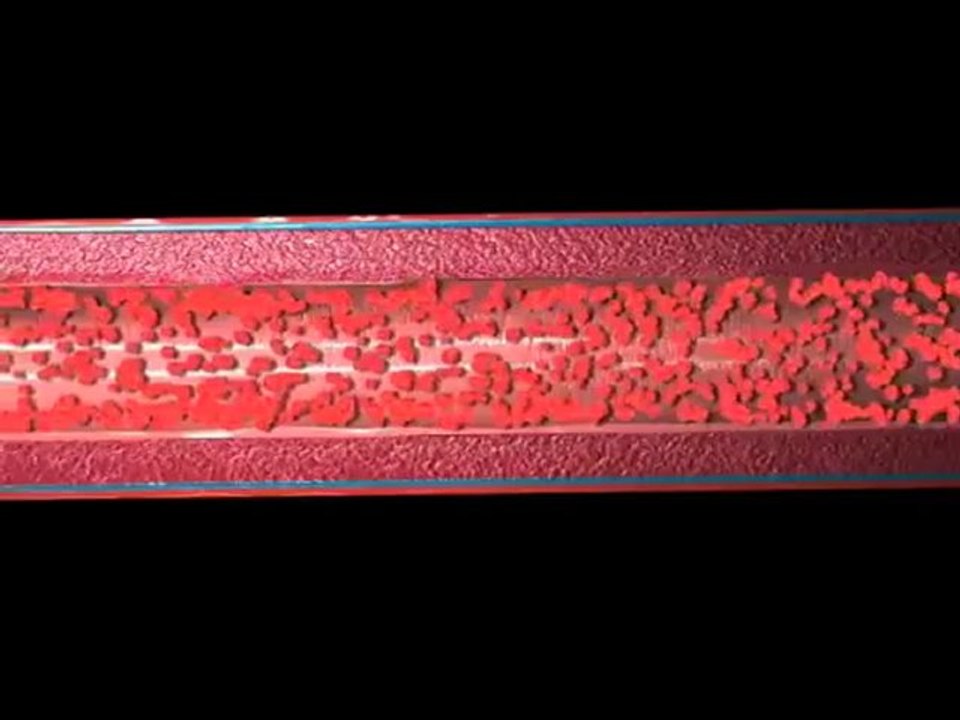 Regulation of Blood Pressure (Understanding Disease_ Cardiovascular Medicine)