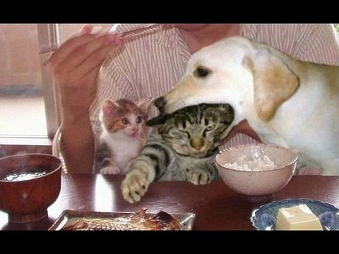 Kindle Touch 3G Best Black Friday 2012 Cheapest