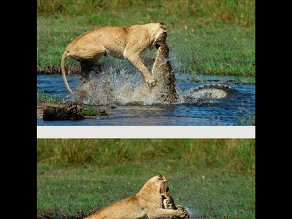 Kindle Touch 3G Black Friday 2012 Best Sale