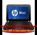 HP Mini 1104 A7K69UT 10.1 LED Netbook Atom N2600 1.6GHz 2GB DDR3 320GB HDD Intel GMA 3600 Bluetooth Windows 7 Professional... REVIEW