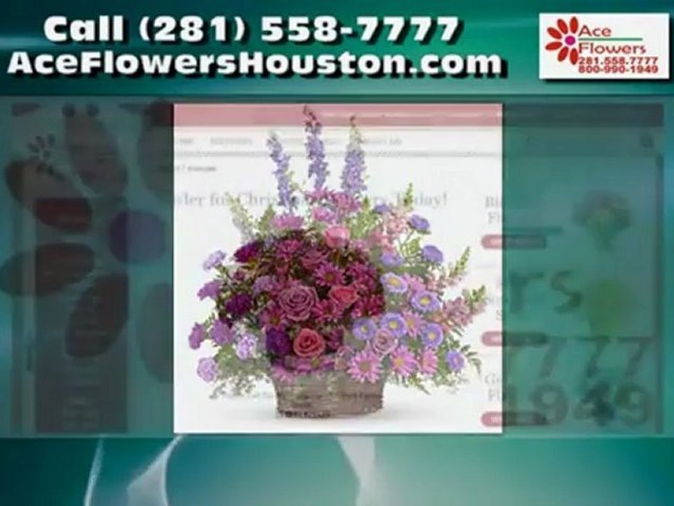 Ace Flowers, 1903 South Dairy Ashford Street, Houston,TX, 77077,United States, 281 558 7777