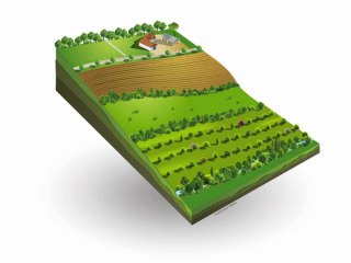 Agroforesterie et Politique Agricole Commune