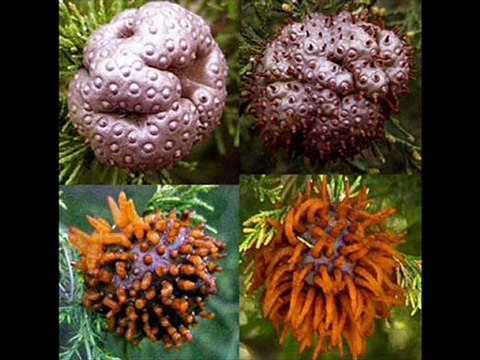 Kindle DX Black Friday 2012 Best price