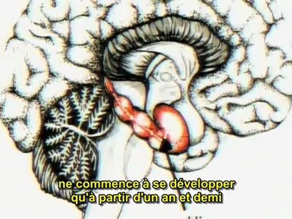 3 - Zeitgeist Moving Forward 1-3