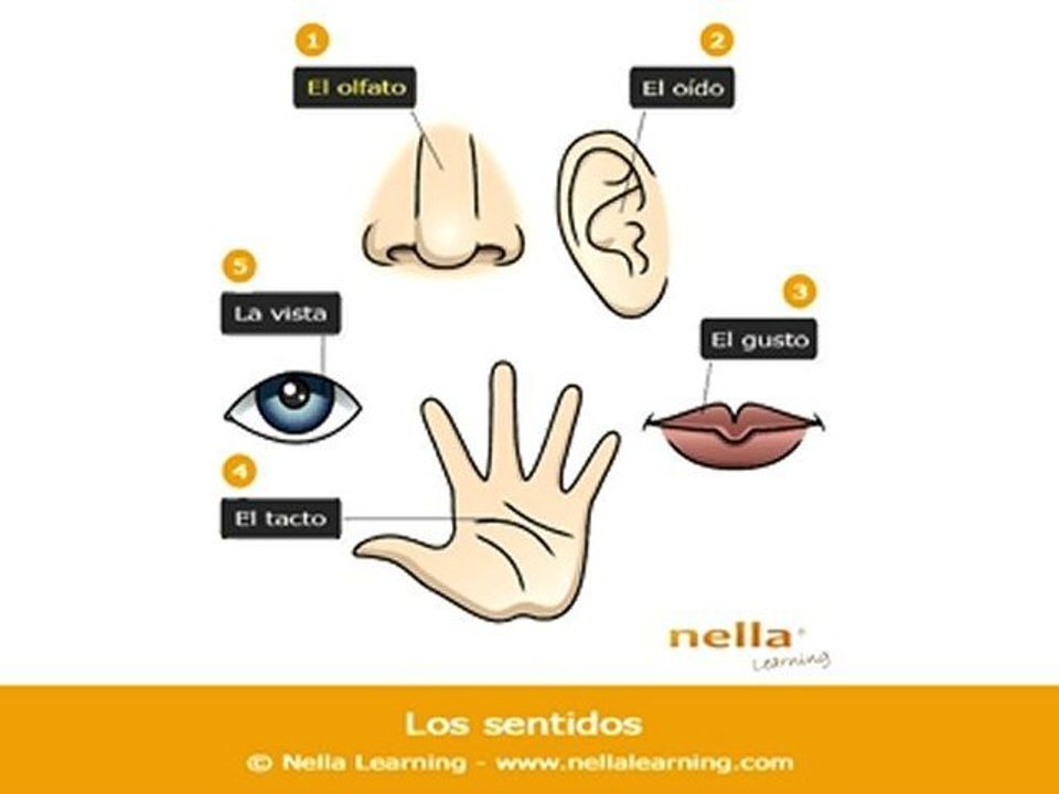 Apprendre l'espagnol en ligne - Vocabulaire espagnol - Fiche 29 - Niveau A1