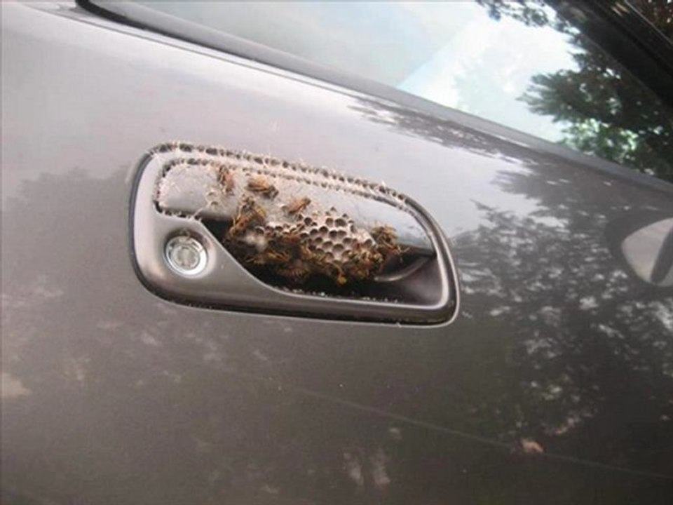 Kindle DX Black Friday 2012 Best Cheapest