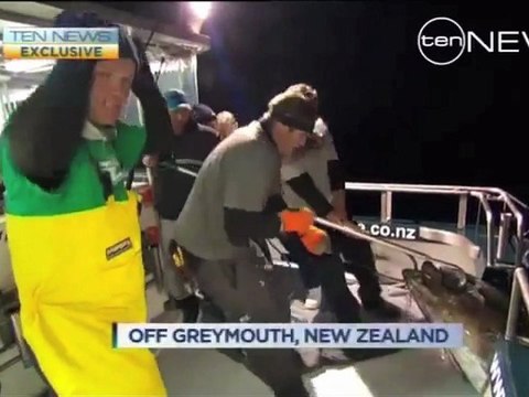 Top 5 : un énorme thon radioactif de 3 mètres repêché