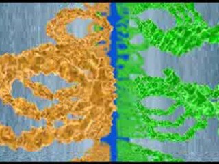 How do our cells recognize and bind to one another?