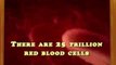 3 million red blood cells are manufactured in our bodies every second