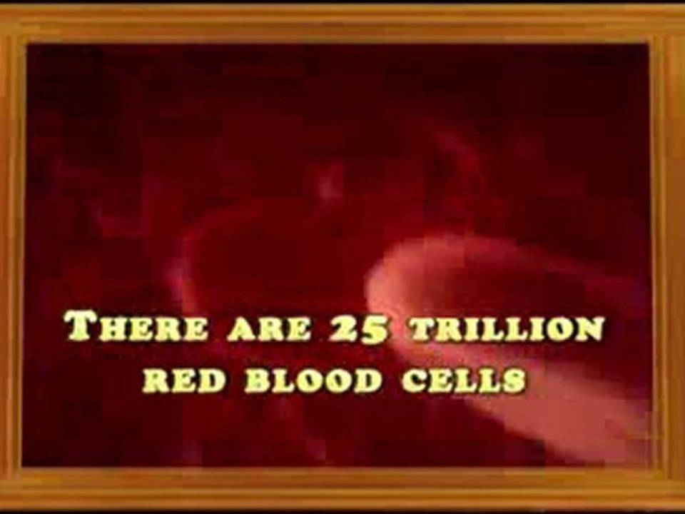 3 million red blood cells are manufactured in our bodies every second