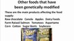What Foods Are Genetically Modified