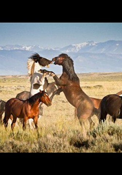 PlayStation 3 160GB Console Best Black Friday 2012 Deal