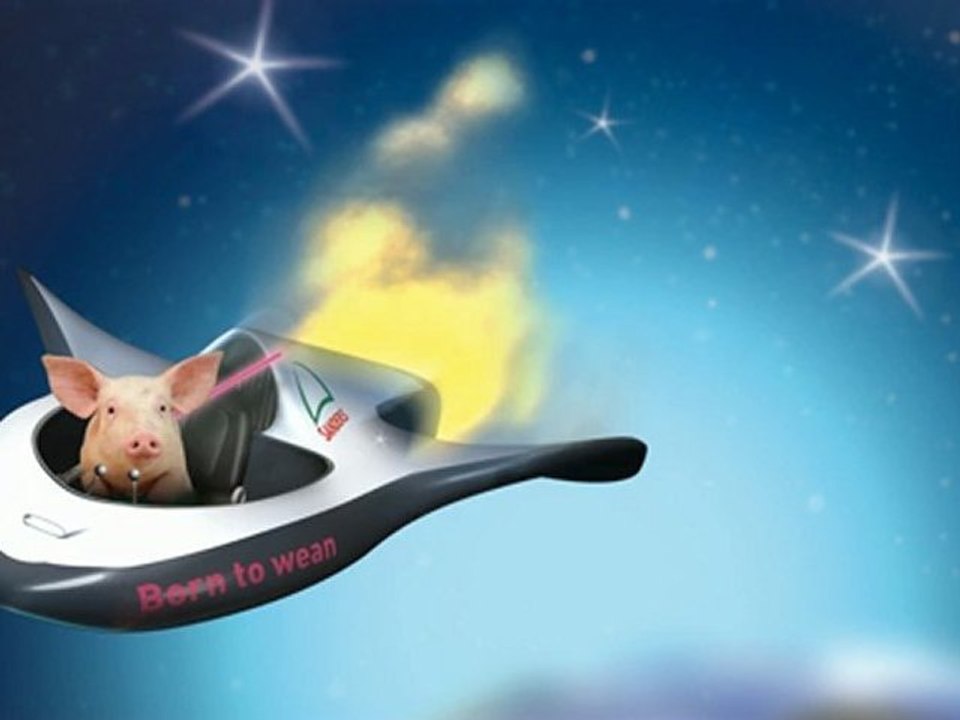 Concept KOSMOLINE, le pilotage global du porcelet