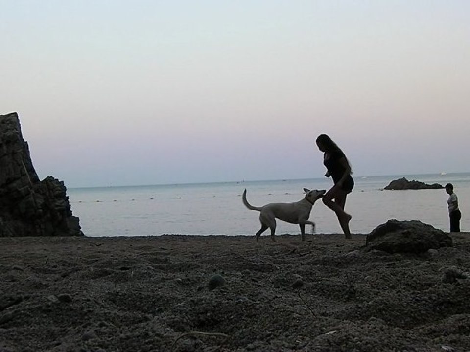 Entrainement à la plage, été 2012