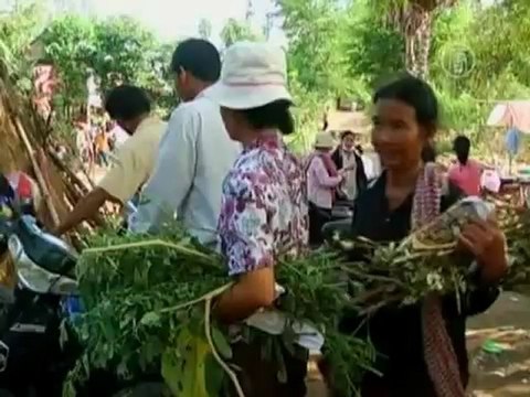 В Камбодже появился 3-летний мальчик-целитель