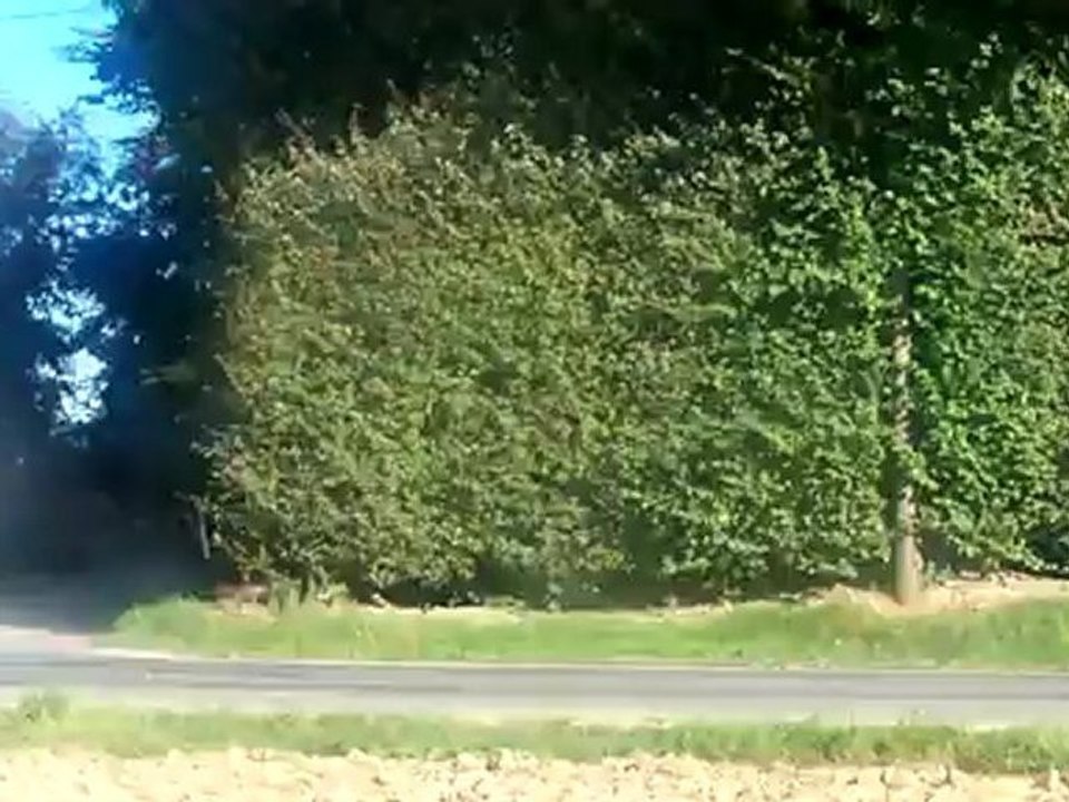 RALLYE DU PAYS D'AUGE 2012 ES3 " BONNEBOSQ"